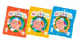 旅するかまぼこのイメージ